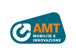 amt